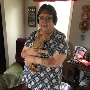 Meet your Posher, Carole